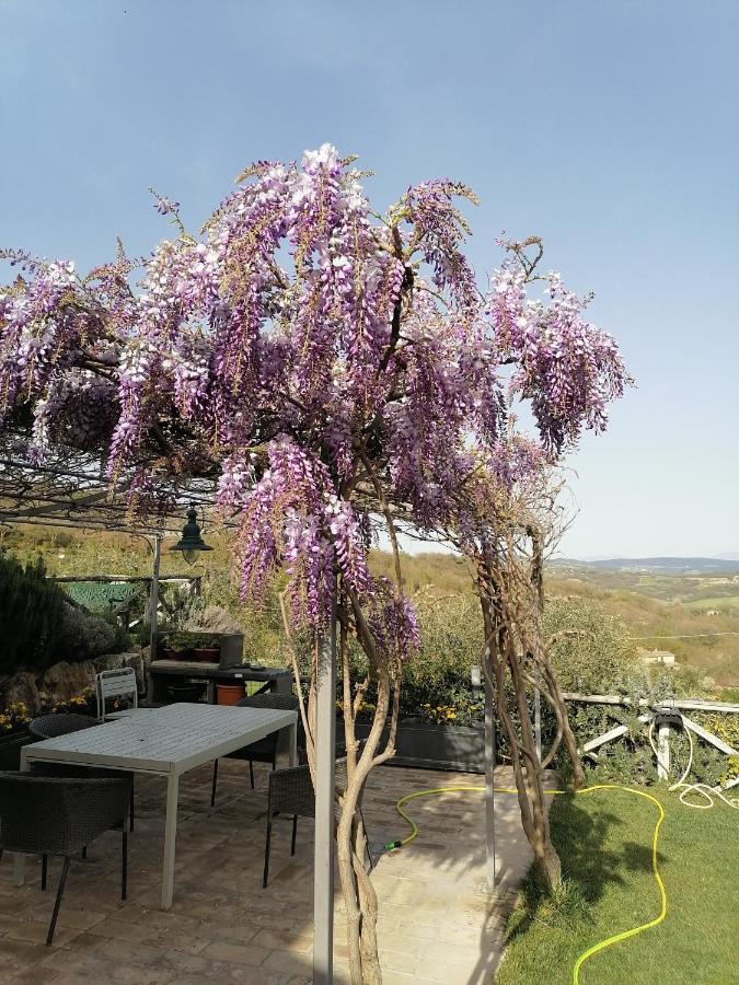 B&B Coldifiore Penna in Teverina 外观 照片