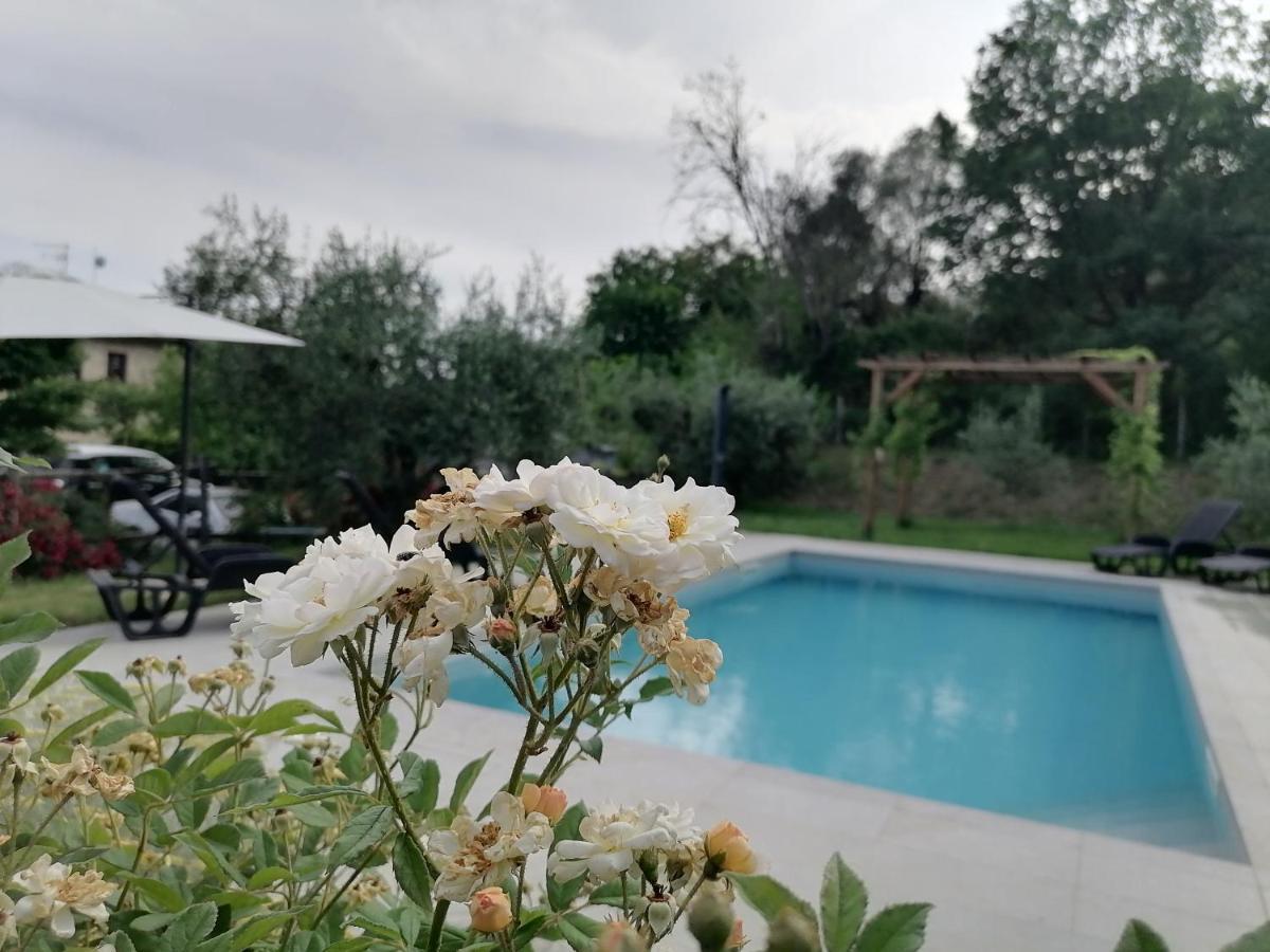 B&B Coldifiore Penna in Teverina 外观 照片