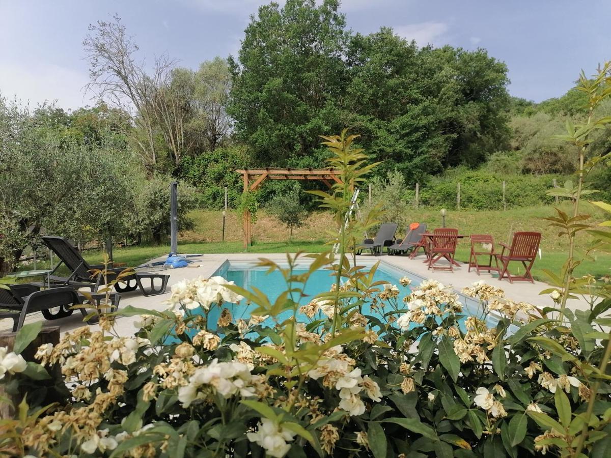 B&B Coldifiore Penna in Teverina 外观 照片