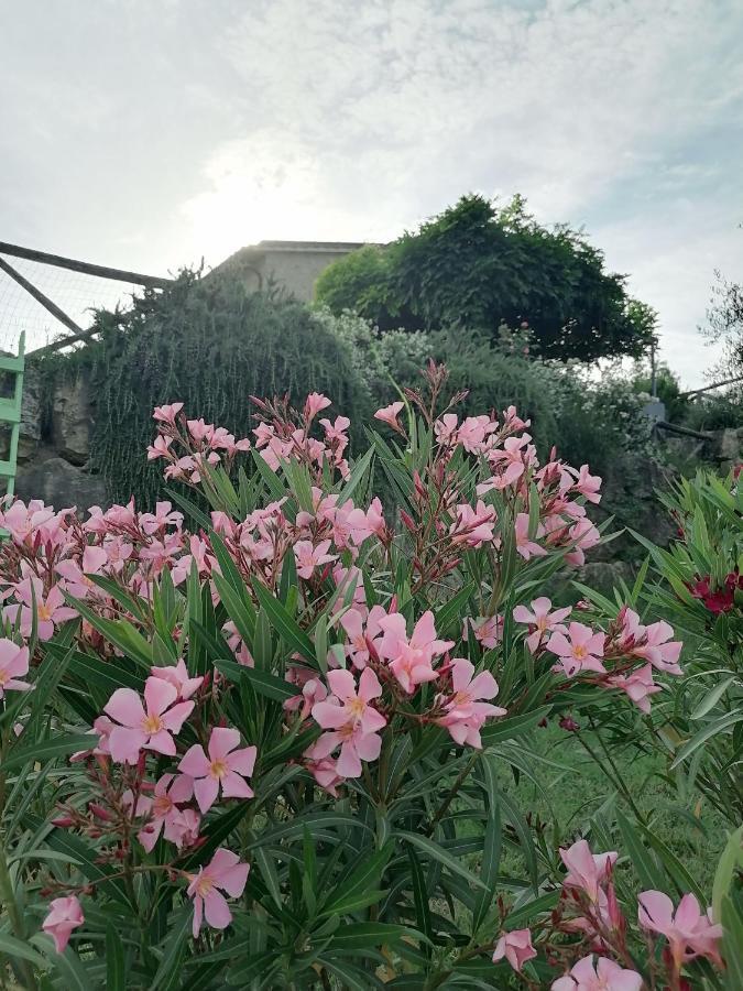 B&B Coldifiore Penna in Teverina 外观 照片